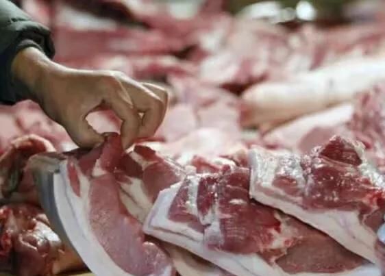 一般的猪肉与土猪肉有什么区别图6