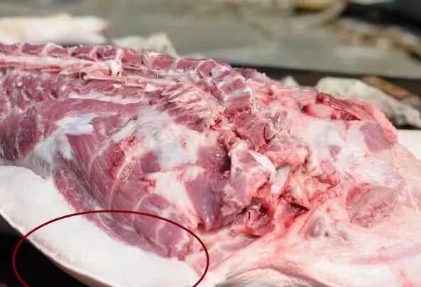 一般的猪肉与土猪肉有什么区别图8