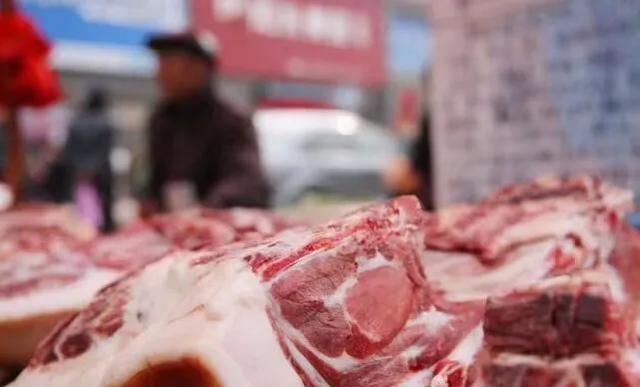 一般的猪肉与土猪肉有什么区别图10