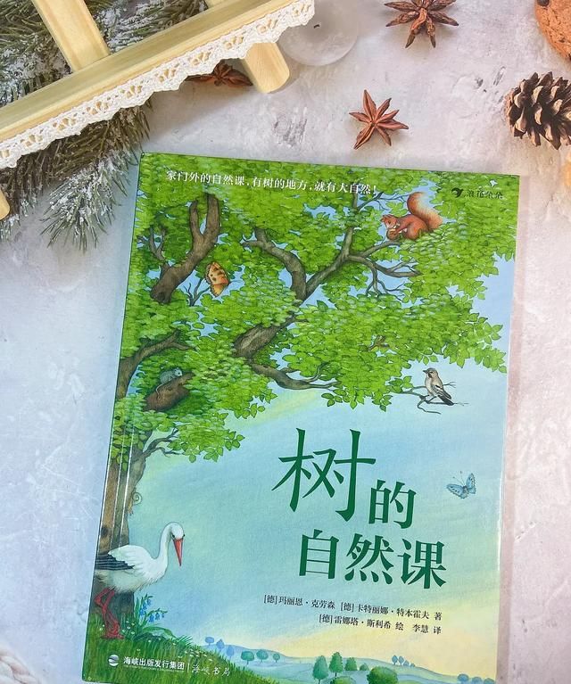 桦树叶治疗脚臭？椴树花茶能治感冒？这本自然科普绘本简直太棒了