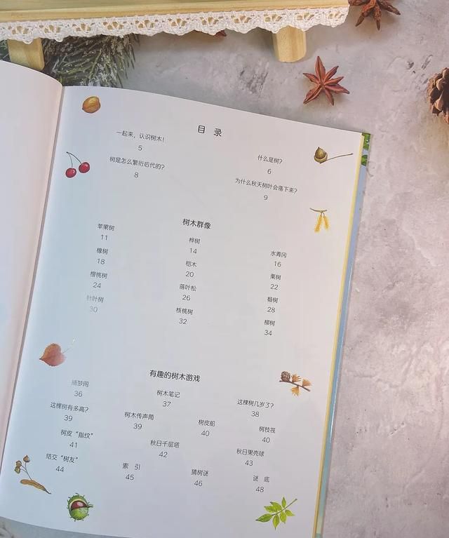 桦树叶治疗脚臭？椴树花茶能治感冒？这本自然科普绘本简直太棒了