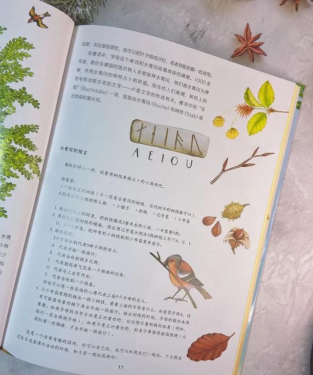 桦树叶治疗脚臭？椴树花茶能治感冒？这本自然科普绘本简直太棒了