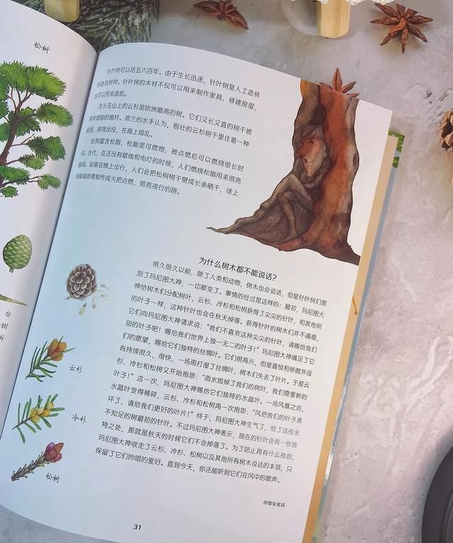 桦树叶治疗脚臭？椴树花茶能治感冒？这本自然科普绘本简直太棒了