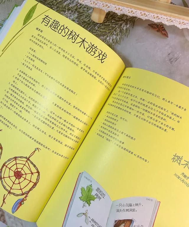 桦树叶治疗脚臭？椴树花茶能治感冒？这本自然科普绘本简直太棒了