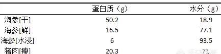 海参对肾病有好处吗(海参肾病人可以吃吗)图3