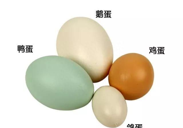 燕窝虽不是药，长期吃能调理9大疾病！难怪吃燕窝的人越来越多