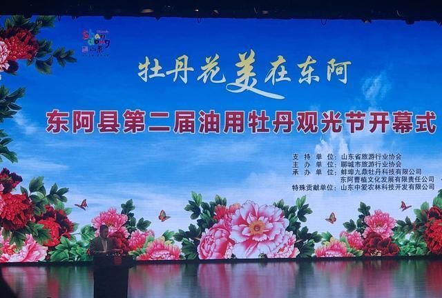 油牡丹有什么用途图1