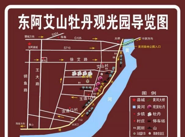 油牡丹有什么用途图5