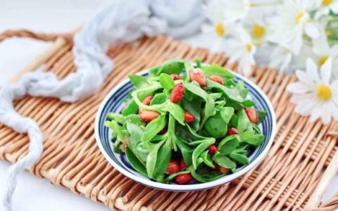 8种食材补气祛湿脾肺肾同补