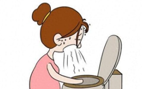孕妇止呕食疗方,怀孕呕吐主要是补肾健脾吗
