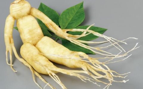 人参,党参,西洋参都具有的功效为哪一项