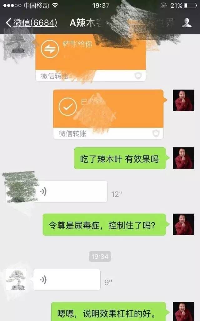 辣木茶有什么作用与功效图4