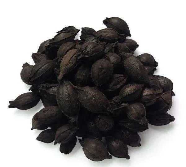 入药入膳入染坊，栀子的“多重”身份