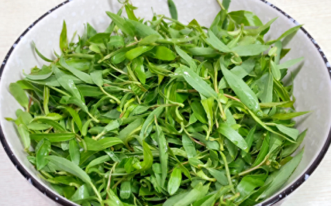 春天，遇到这树叶别手软，现在正当季，营养极高，过谷雨就少了