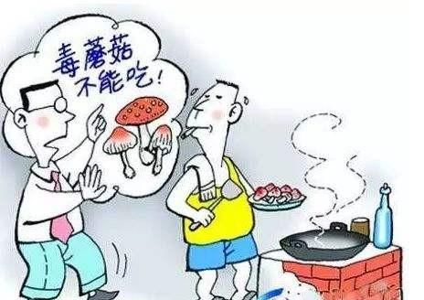 食用野生菌菇注意什么图2