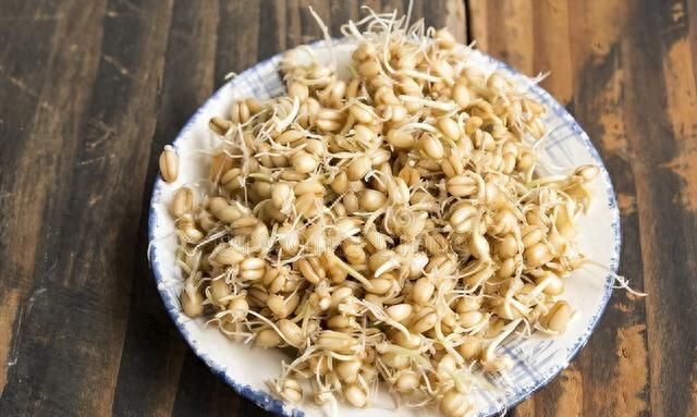 小麦发芽了还能吃吗？如何处理发芽的小麦？