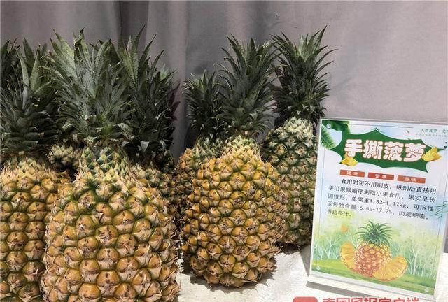 “孤陋寡闻”了！广西这些新品菠萝，刷新你的水果观