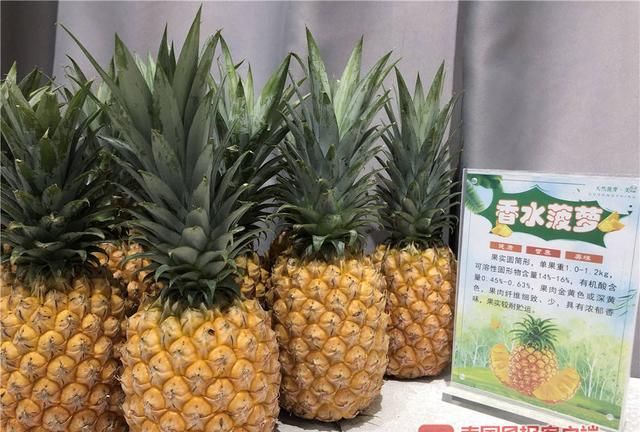 “孤陋寡闻”了！广西这些新品菠萝，刷新你的水果观