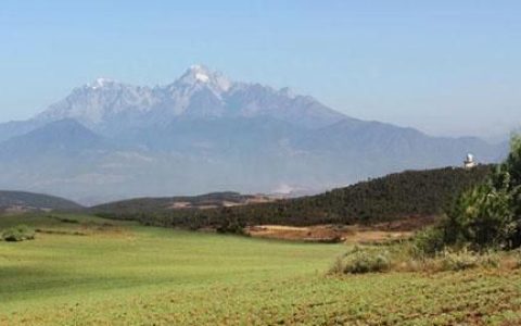 食用玛咖效果比较好的玛咖吃法