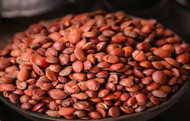 酸枣仁粉和茯苓粉怎么搭配吃比较好呢图1