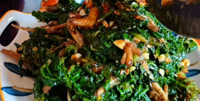苦瓜靠边站，春天就吃苦菜，随手一拌就上桌，鲜嫩又脆爽，真好吃