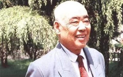 土茯苓除湿气最好的方法,土茯苓除湿是粉好还是块好