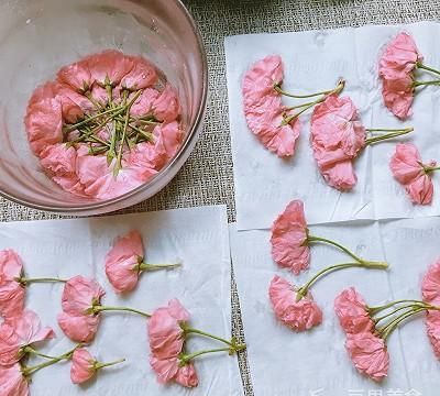 盐渍樱花、樱叶&樱花酱