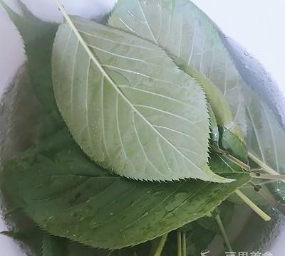 盐渍樱花、樱叶&樱花酱