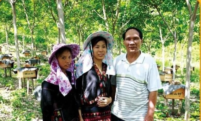 为什么龙眼蜂蜜是蜜中之王(荔枝蜜与龙眼蜂蜜区别)图2