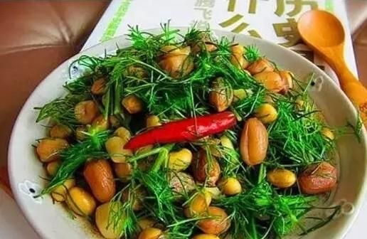 茴香除了调馅还有多少种吃法,茴香除了做馅还可以怎么吃图5