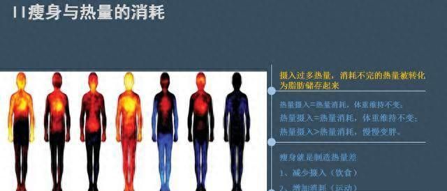 酵素是什么东东，真有减肥的作用吗？营养师带你扒一扒酵素