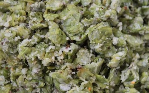 又到了吃榆钱的季节,你们都是什么吃法