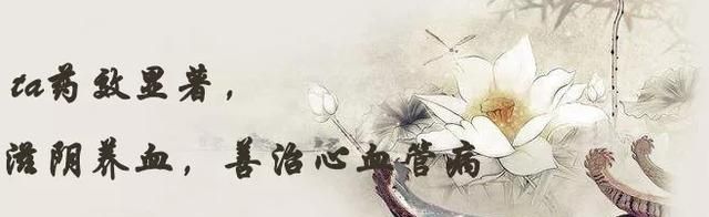 「百草园」无毒土三七，止血又滋阴——费菜（七十四）