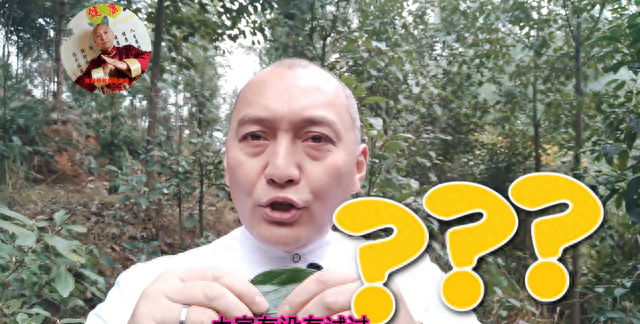 香樟树叶农民用来烧火，我用它煮水泡脚，祛风除湿