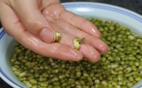 冬天绿豆怎么吃好吃又简单(天气热绿豆吃法和做法)