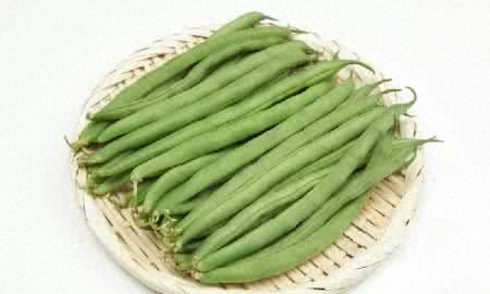 芸豆功效与作用，白芸豆的功效与作用减肥图2