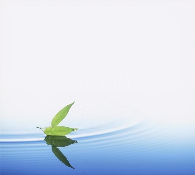 经常喝白花蛇草水会有什么好处，白花蛇舌草有什么成分？