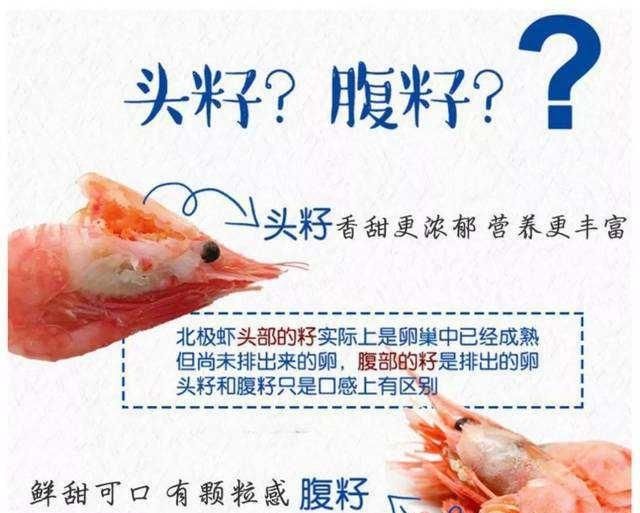 北极虾的鱼籽能吃吗怎么吃,北极虾的虾籽可以吃吗图4