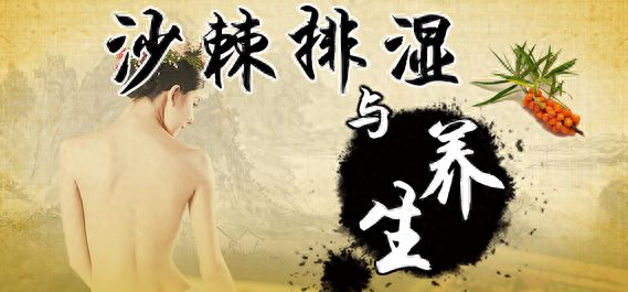 沙棘可以排湿排寒吗 沙棘排湿排寒几次最好