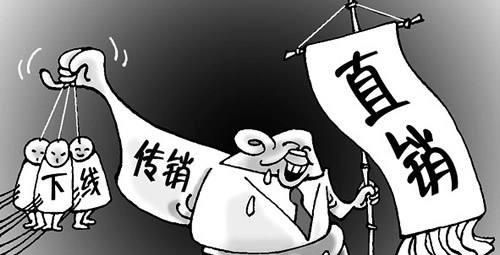 湖南安化黑茶直销合法吗(直销安化黑茶合法吗)图2