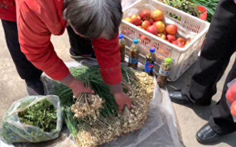 野蒜可以给宝宝吃嘛,野生小蒜一岁宝宝吃多了好吗