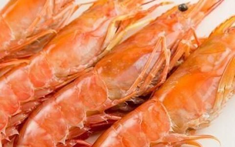 虾头能吃吗(虾头能吃吗有什么好处)