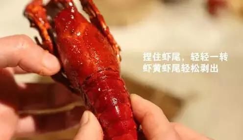 虾头能吃吗(虾头能吃吗有什么好处)图14