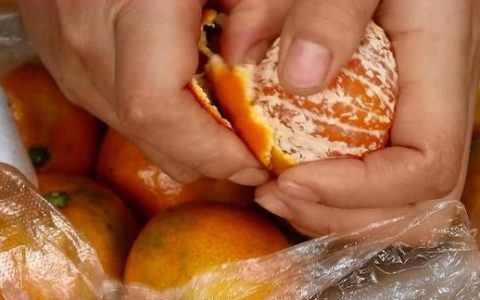 橘子和鸡蛋怎么蒸最好吃