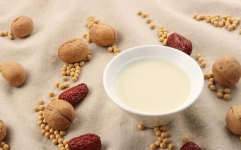 红枣牛奶豆浆功效是什么,红枣燕麦豆浆功效与作用