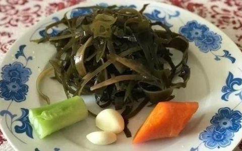 海带可以炒来吃吗(海带炒什么最好吃)