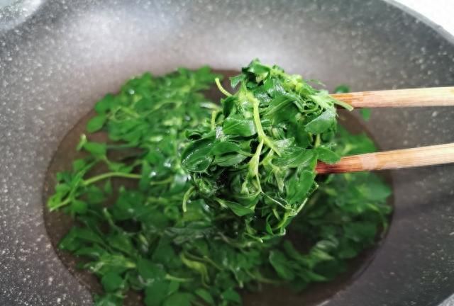 野菜苜蓿的两种吃法，忆苦思甜，致敬最美劳动者