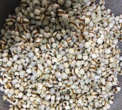 黯然销魂的薏米红豆粉#硬核菜谱制作人#，好吃