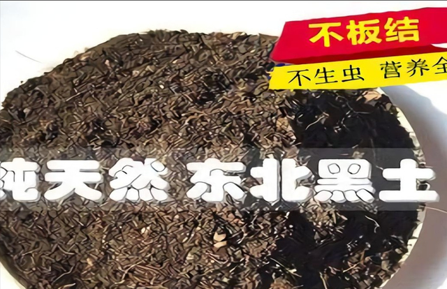 土值钱吗？有种土被誉为“大熊猫”！但现在竟然有人为了钱去贱卖