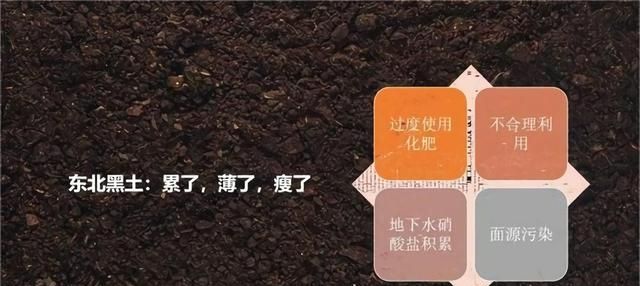 土值钱吗？有种土被誉为“大熊猫”！但现在竟然有人为了钱去贱卖
